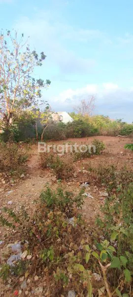 image TANAH MURAH 12 ARE DI JIMBARAN  (7)