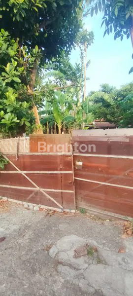 image TANAH MURAH 4,7 ARE DI POH GADING  (1)