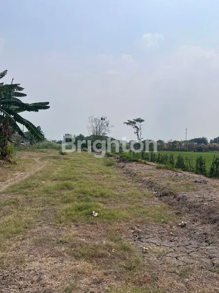image TANAH/KAVLING GEBANG LINGKAR TIMUR SIDOARJO (1)