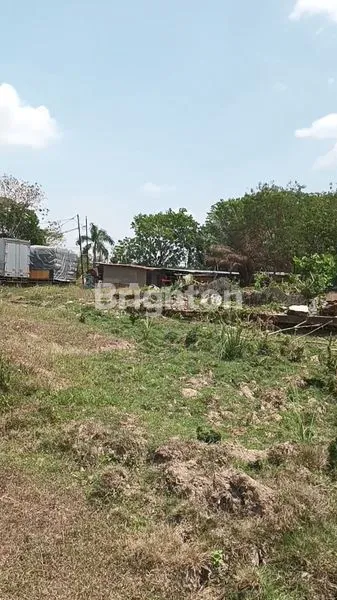 image TANAH KERAS LOKASI STRATEGIS DEKAT KE JALAN UTAMA  SOEKARNO -HATTA (1)