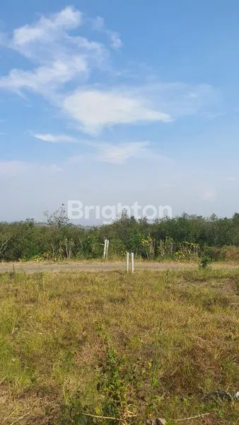 image TANAH MURAAH DEKAT KAWASAN WISATA BUNGA KOTA BATU (1)