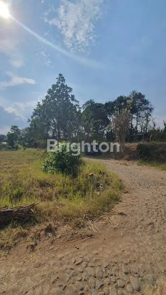 image TANAH MURAAH DEKAT KAWASAN WISATA BUNGA KOTA BATU (2)