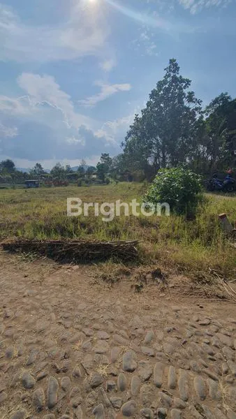image TANAH MURAAH DEKAT KAWASAN WISATA BUNGA KOTA BATU (3)