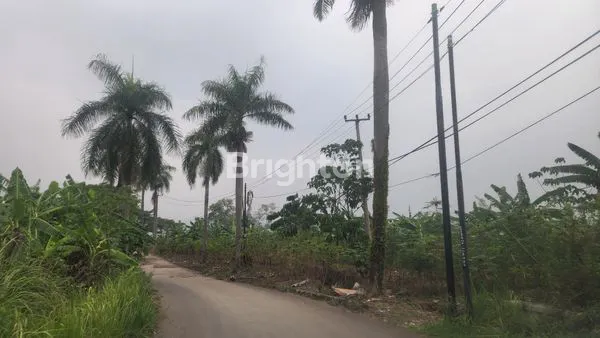 TANAH STRATEGIS SIAP BANGUN HAMBALANG