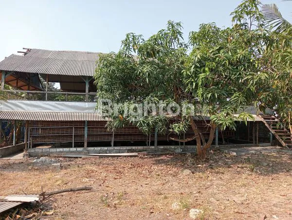 image DIJUAL TANAH DAN BANGUNAN EX PETERNAKAN DI GRESIK (3)