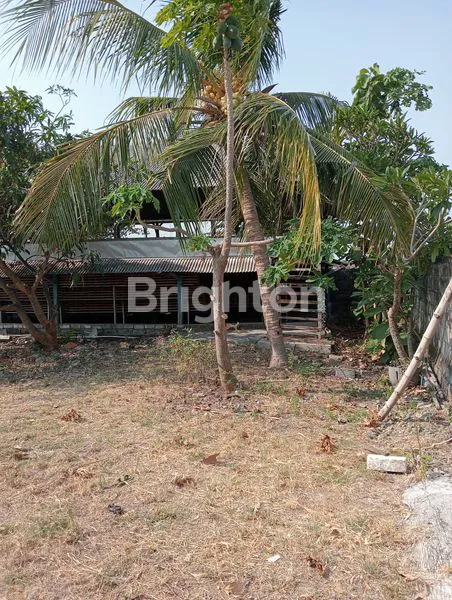image DIJUAL TANAH DAN BANGUNAN EX PETERNAKAN DI GRESIK (4)