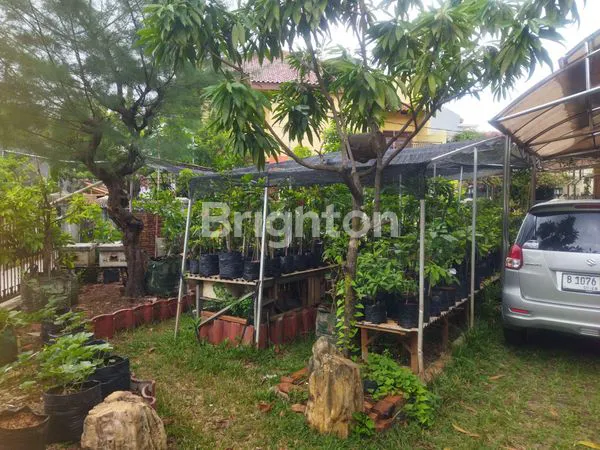 image RUMAH 2 KAVLING HITUNG TANAH DI PERUMAHAN BUMI NASIO INDAH (NEGO) (6)