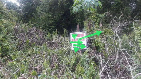 image TANAH MURAH DI KOTA DUMAI (1)