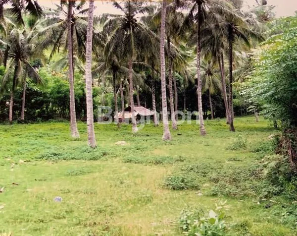 TANAH NOL JALAN - SENGGIGI -LOMBOK BARAT - NUSA TENGGARA BARAT