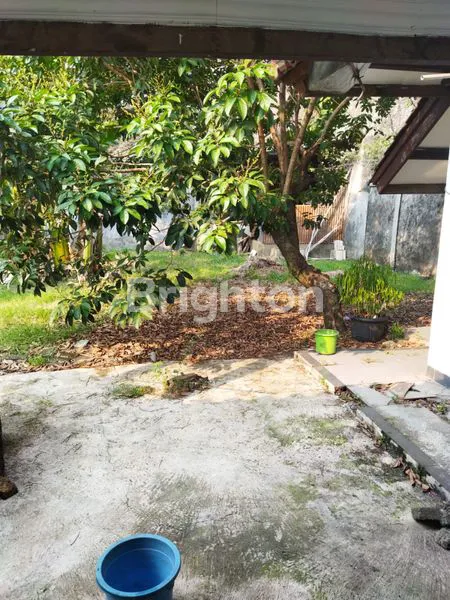 image RUMAH CANTIK 2 LANTAI DI SEKTOR 2 TAMAN YASMIN BOGOR (7)