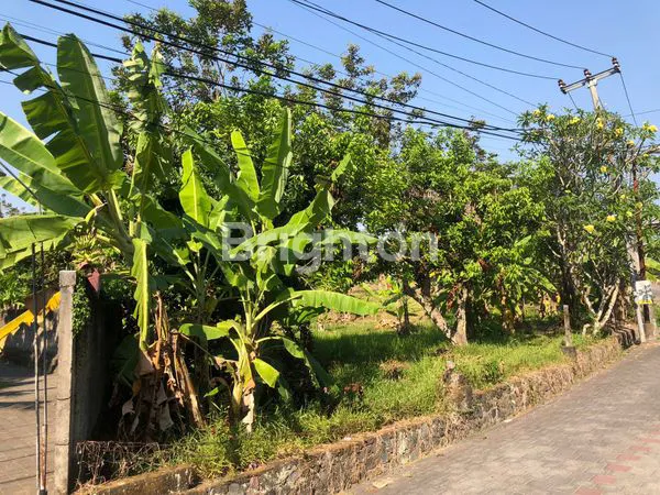 image LAHAN BAGUS DI SEMPIDI BADUNG BALI (2)