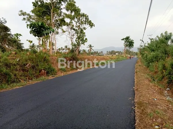 image TANAH STRATEGIS SINGOSARI (2)