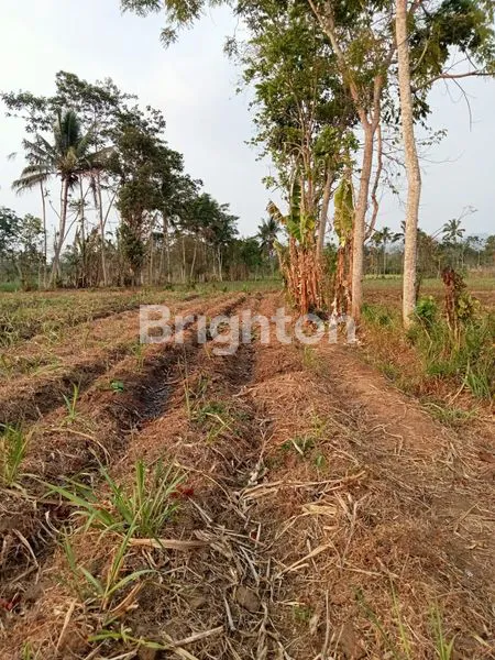 image TANAH STRATEGIS SINGOSARI (4)