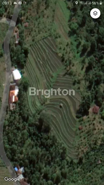 image TANAH SAWAH LUAS DI BULELENG SINGARAJA, LOKASI STRATEGIS DENGAN VIEW YANG SANGAT INDAH (3)