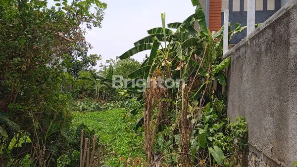 image DIJUAL RUMAH DAN TANAH (2)