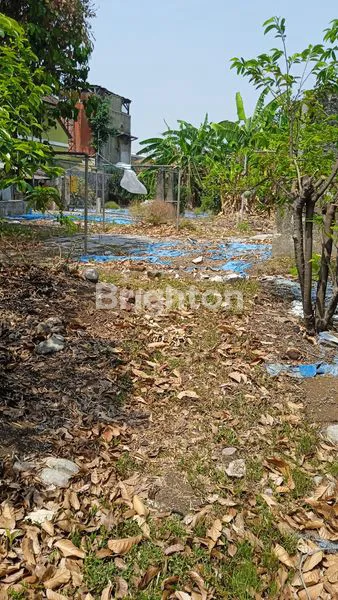 image DIJUAL RUMAH DAN TANAH (4)