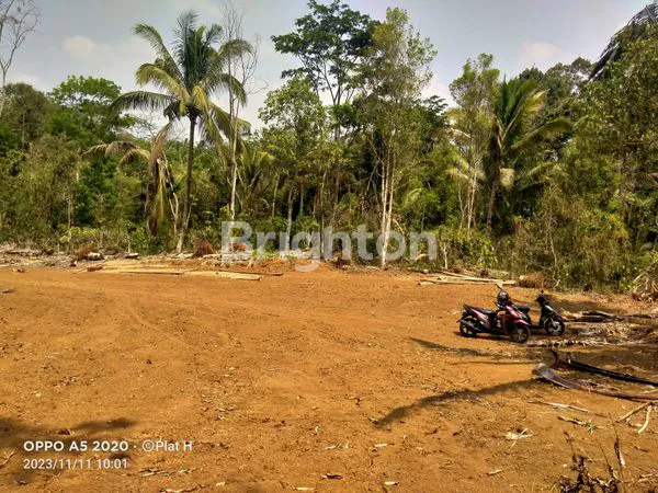 TANAH LUAS DEKAT KOPI EVA JAMBU AMBARAWA SEMARANG