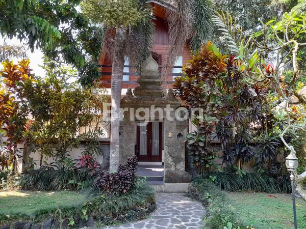 image HOTEL / VILLA DI UBUD (1)