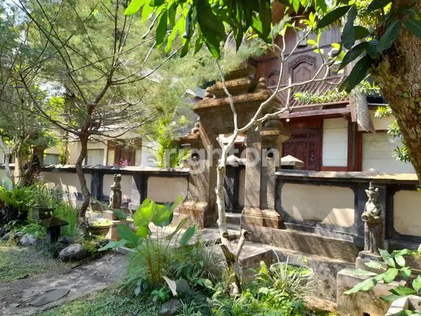 image HOTEL / VILLA DI UBUD (2)