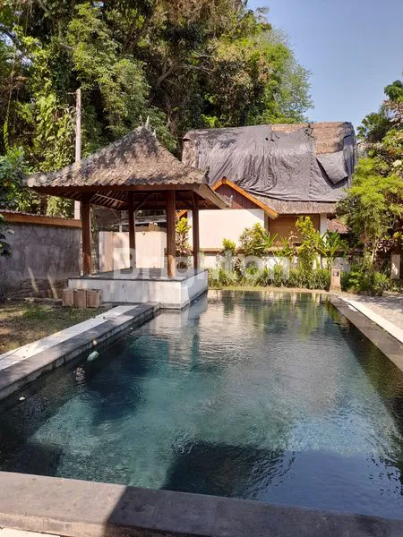 image HOTEL / VILLA DI UBUD (4)