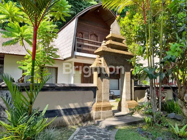 image HOTEL / VILLA DI UBUD (3)