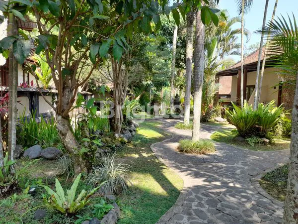 image HOTEL / VILLA DI UBUD (5)