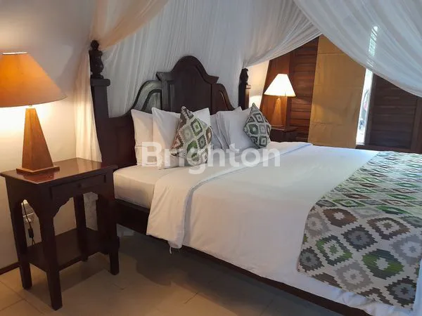 image HOTEL / VILLA DI UBUD (7)