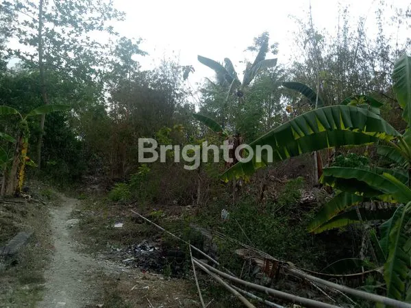 TANAH PEKARANGAN KOSONG DI BARAT UMY, BALECATUR, GAMPING, JALAN RAYA WATES