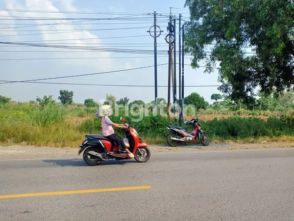 DI JUAL LAHAN TANAH DI KOTA BOJONEGORO