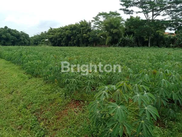 image TANAH COCOK BUAT BERKEBUN DI BOGOR  (1)