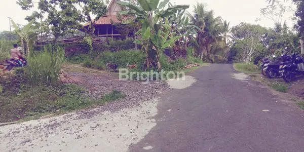 image TANAH KEBUN DI TABANAN  DENGAN VIEW SAWAH DAN SUNGAI (2)