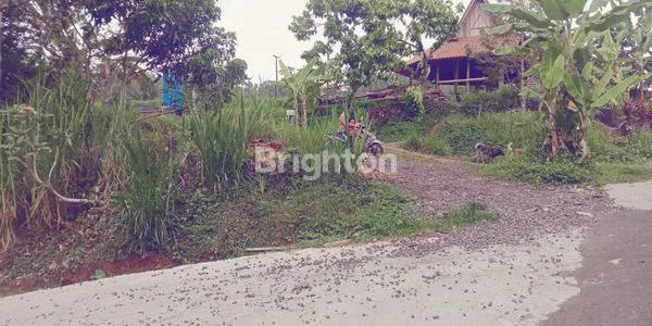 image TANAH KEBUN DI TABANAN  DENGAN VIEW SAWAH DAN SUNGAI (5)