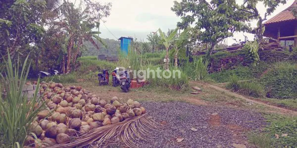 image TANAH KEBUN DI TABANAN  DENGAN VIEW SAWAH DAN SUNGAI (1)