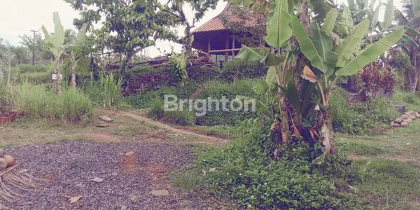 image TANAH KEBUN DI TABANAN  DENGAN VIEW SAWAH DAN SUNGAI (6)