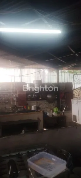 image  USAHA HOEK DI PELEPAH KUNING KELAPA GADING (2)