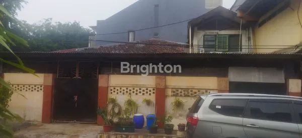 image  USAHA HOEK DI PELEPAH KUNING KELAPA GADING (1)