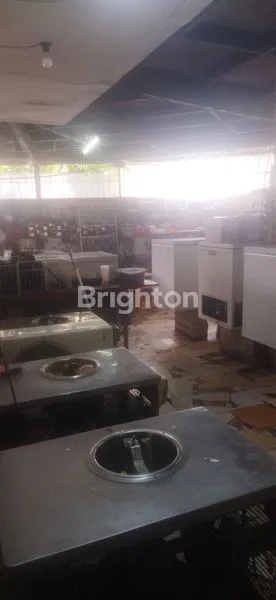 image  USAHA HOEK DI PELEPAH KUNING KELAPA GADING (3)