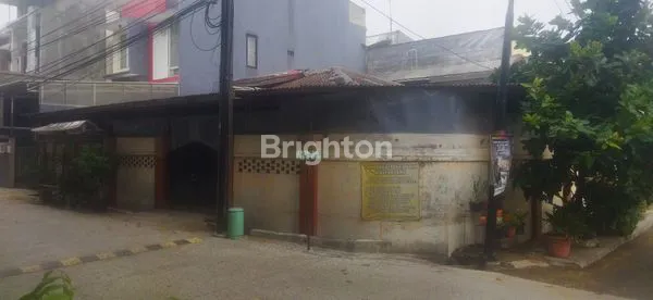 image  USAHA HOEK DI PELEPAH KUNING KELAPA GADING (8)