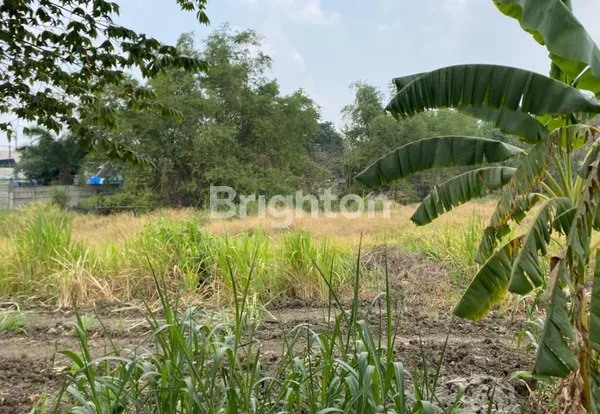 image TANAH DI DRIYOREJO DENGAN ROW JALAN BISA DIAKSES CONTAINER 40 FT (1)
