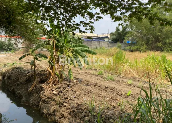 image TANAH DI DRIYOREJO DENGAN ROW JALAN BISA DIAKSES CONTAINER 40 FT (2)