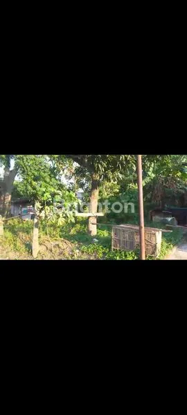 image JUAL CEPAT TANAH (1)