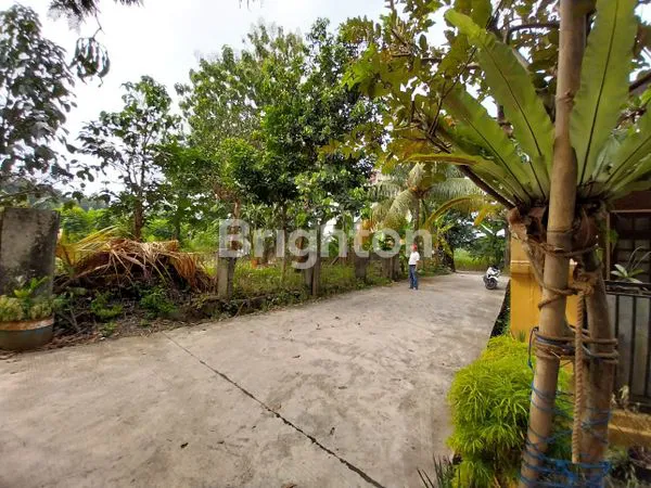 DIJUAL 2 TANAH SEKALIGUS DENGAN LOKASI STRATEGIS BANTARJATI