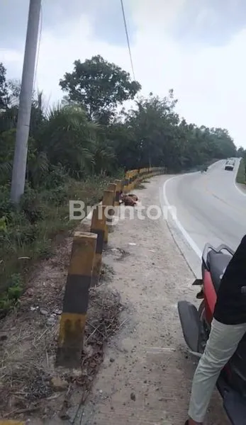 TANAH 1 HEKTAR DI IBUKOTA NEGARA