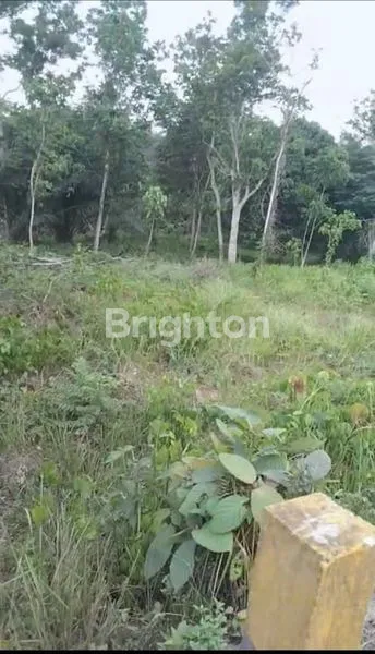 image TANAH 1 HEKTAR DI IBUKOTA NEGARA (2)