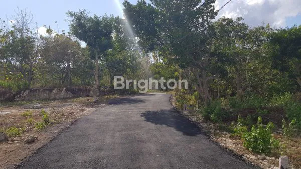 image INVESTASI TANAH DI NUSA PENIDA (4)