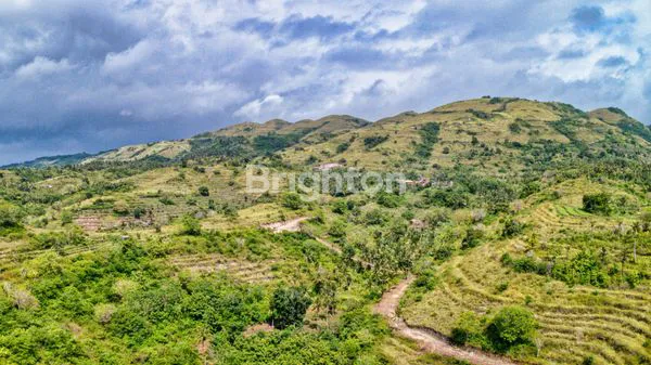image TANAH OCEAN VIEW DAN BUKIT VIEW DI NUSA PENIDA LAND (1)