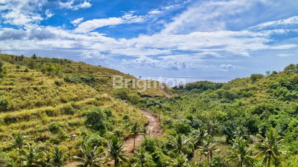 image TANAH OCEAN VIEW DAN BUKIT VIEW DI NUSA PENIDA LAND (3)