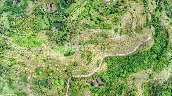 image TANAH OCEAN VIEW DAN BUKIT VIEW DI NUSA PENIDA LAND (6)