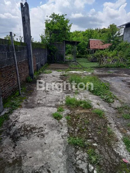 image TANAH BONUS GUDANG KECIL (5)