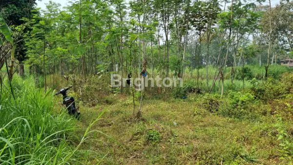 image TANAH DI TEMBORO MALANG (3)